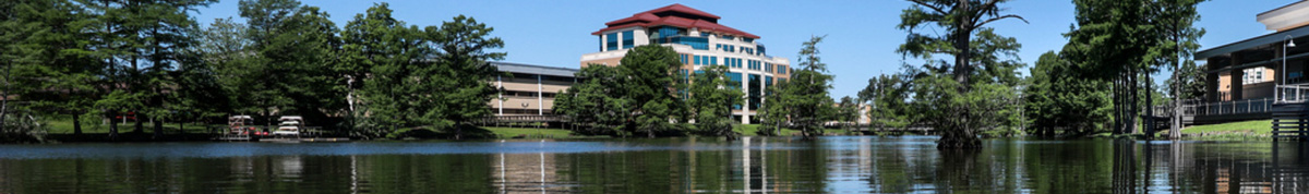 Strauss Hall and the Library on Bayou Desiard