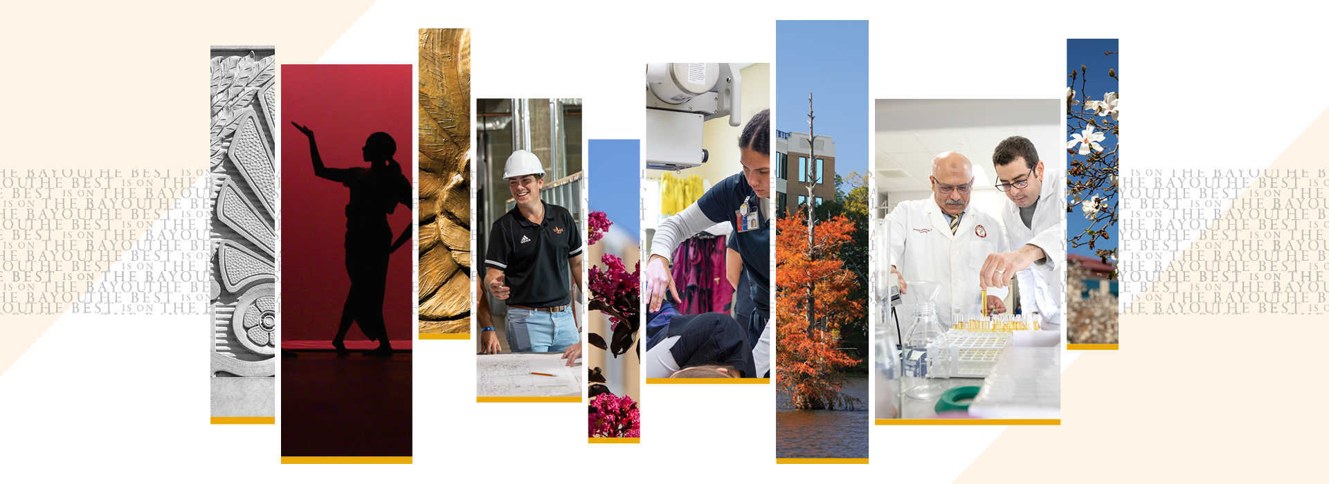 A collage capturing vibrant campus life and the beauty of student experiences.